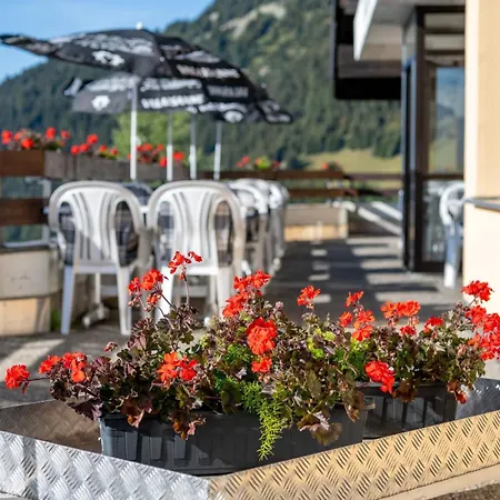 Appartementhaus Zurschmitten 16 By Interhome Apartment Riederalp